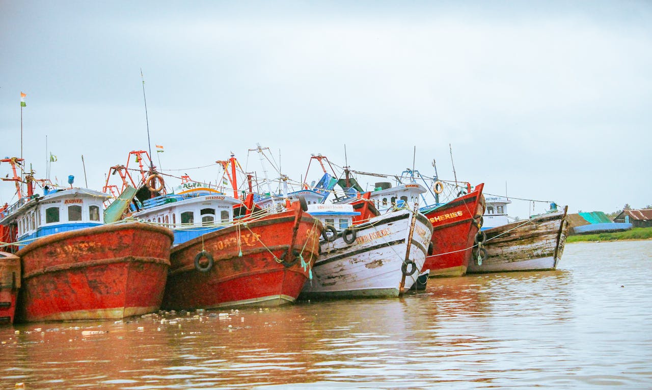 Rustic fishing boats moored in Mangalore harbor, capturing a nautical scene with vibrant reds and weathered textures.